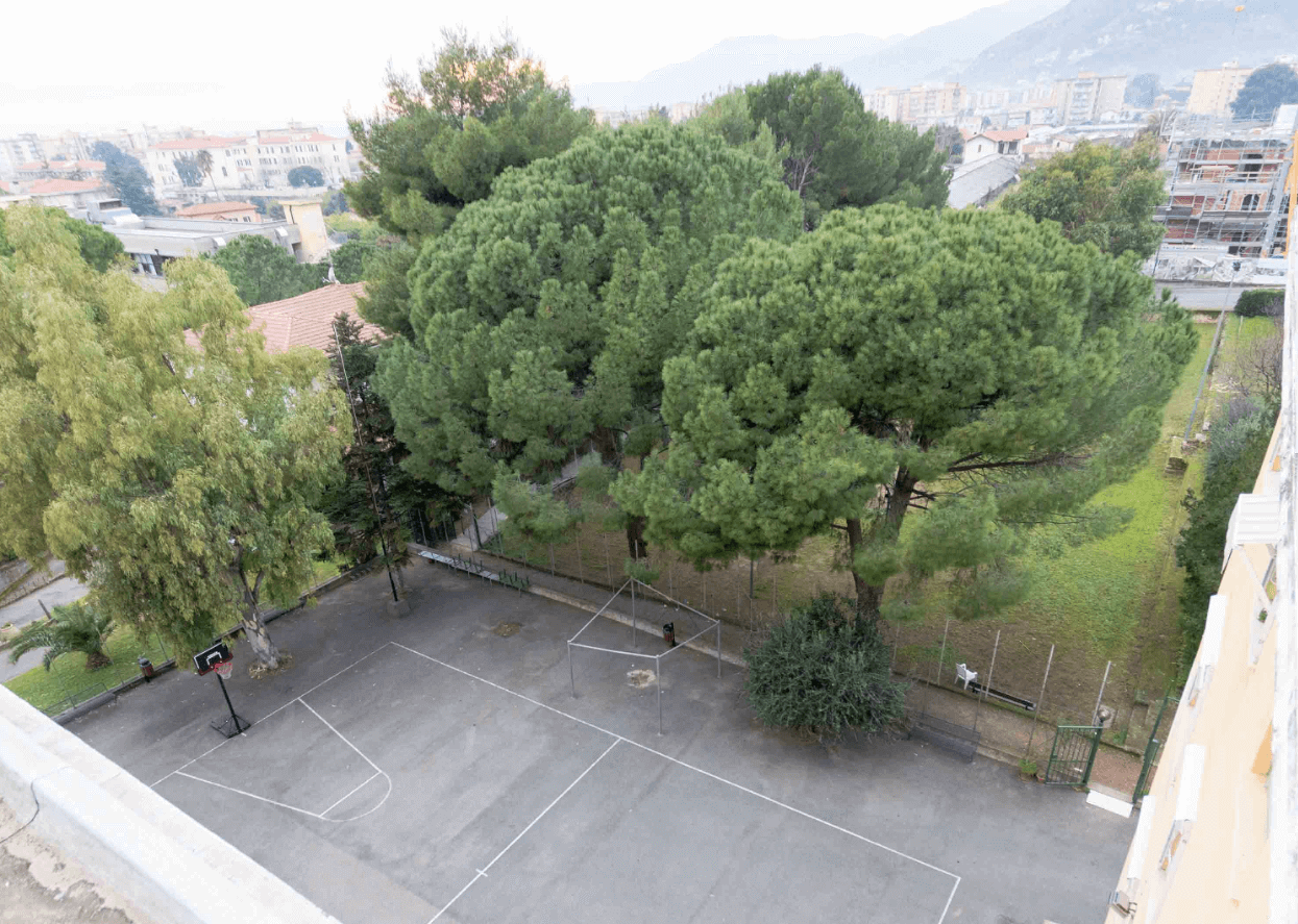 Campo da basket su asfalto